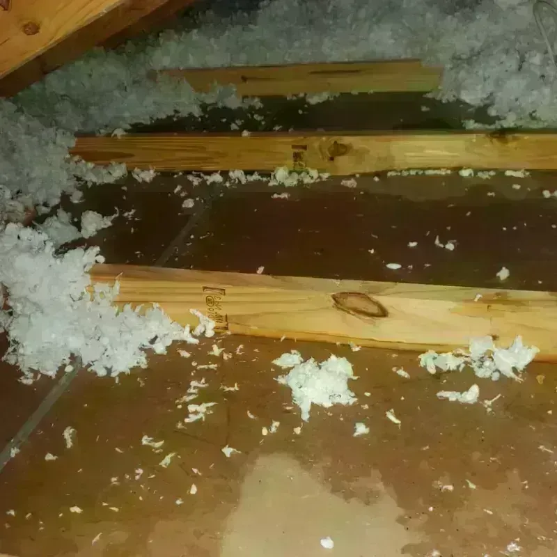 Attic Water Damage in Wolfdale, PA